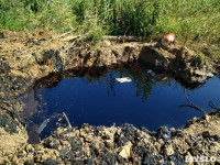 Нефтепродукты в Комарках, 12 августа 2019, Фото: 4