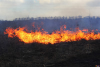 Сразу в нескольких районах Тульской области загорелись поля, Фото: 8