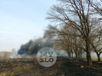 В Туле загорелось поле, Фото: 22