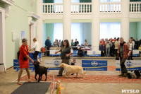 Выставки собак в ДК "Косогорец", Фото: 37