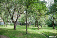 Яблоневый сад и роща на ул. Серова, Фото: 7