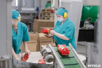 Как Тульская макаронная фабрика повысила производительность труда, Фото: 33