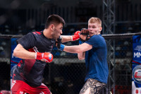 В «Тула-Арене» состоялись областные соревнования по ММА, Фото: 124