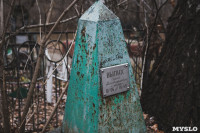 Кладбища Алексина зарастают мусором и деревьями, Фото: 49