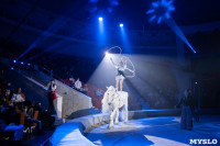 Премьера новогоднего шоу в Тульском цирке, Фото: 52