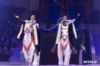 Цирковое шоу Жар птица, Фото: 115