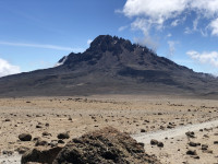 Килиманджаро, Фото: 15