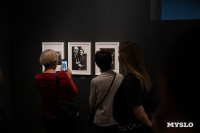 В тульском Фонде искусств открылась выставка, посвященная Майе Плисецкой, Фото: 43