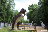 В Туле появился парк с интерактивными динозаврами, Фото: 19