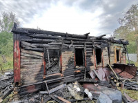 В деревне рядом с поселком Рассвет сгорел частный дом, Фото: 3