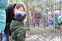 В Новомосковске открылся мини-зоопарк, Фото: 9