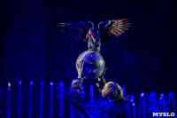Шоу фонтанов «13 месяцев» в Тульском цирке – подарите себе и близким путевку в сказку!, Фото: 25
