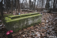 Кладбища Алексина зарастают мусором и деревьями, Фото: 22