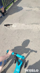 Тулячка: «Пешеходная часть Зареченского моста в ужасном состоянии – страшно ходить», Фото: 2
