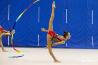 В Туле стартовало первенство Центрального федерального округа по художественной гимнастике, Фото: 14