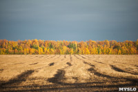 Золотая осень в Тульской области, Фото: 40