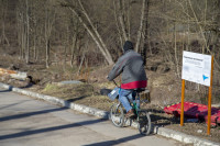 Солнечный день в Белоусовском парке, Фото: 2