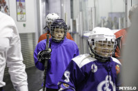 Легенды хоккея провели мастер-класс в Туле, Фото: 17