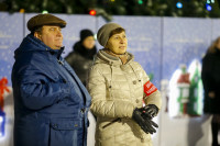 Открытие новогодней ёлки на площади Ленина, Фото: 88