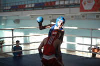 Первенство Тульской области по боксу, Фото: 22