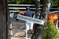 Летний сезон в «Гурманте» открыли соревнованиями по выездке, Фото: 26