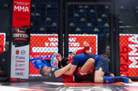 В «Тула-Арене» состоялись областные соревнования по ММА, Фото: 3