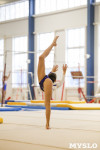 Спортивная гимнастика в Туле 3.12, Фото: 182