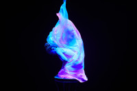 Новое грандиозное шоу Гии Эрадзе «Королевский цирк» стартует в Тульском цирке, Фото: 50