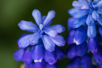 , Фото: 7