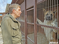 Приют для животных в поселке Сергиевский, Фото: 31