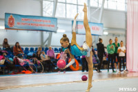 Соревнования по художественной гимнастике "Тульский сувенир", Фото: 43