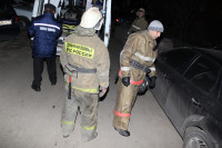 В Туле пожарные спасли двух человек, Фото: 21