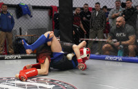 В Новомосковске прошел Чемпионат и Первенство Тульской области по ММА, Фото: 142