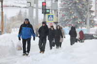 Тула в снежном плену: фоторепортаж с улиц города, Фото: 11