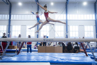 Всероссийские соревнования по спортивной гимнастике, Фото: 34