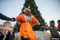 В Тульском кремле открылась новогодняя елка, Фото: 21