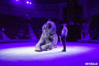 Шоу слонов в Тульском цирке, Фото: 68