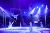 Премьера новогоднего шоу в Тульском цирке, Фото: 56