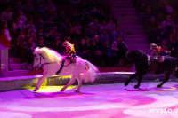 Цирковое шоу Жар птица, Фото: 136