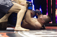 Битва за Тулу-2026, Фото: 232