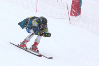 Соревнования по горнолыжному спорту в Малахово, Фото: 53