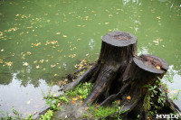 Загрязнение прудв в Платоновском парке, Фото: 11