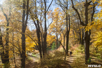 Золотая осень в Ясной Поляне, Фото: 20