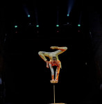 В Туле пройдет Международный детский и молодежный цирковой фестиваль «На языке мира», Фото: 6