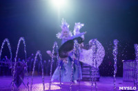 Шоу фонтанов «13 месяцев»: успей увидеть уникальную программу в Тульском цирке, Фото: 137
