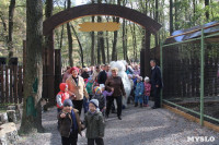 В Новомосковске открылся мини-зоопарк, Фото: 7