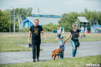 Всероссийская выставка собак в Туле, Фото: 1