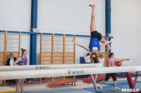 Первенство ЦФО по спортивной гимнастике среди юниорок, Фото: 1
