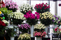 Ассортимент тульских цветочных магазинов. 28.02.2015, Фото: 67