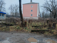 Жители Косой Горы пожаловались на брошенные после опиловки деревья  , Фото: 3